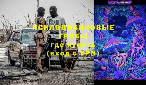 шишки Балабаново