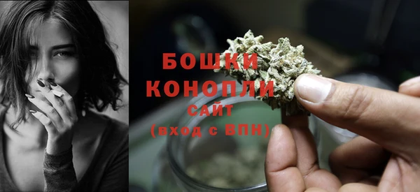 шишки Балабаново