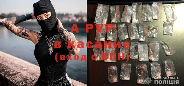 шишки Балабаново