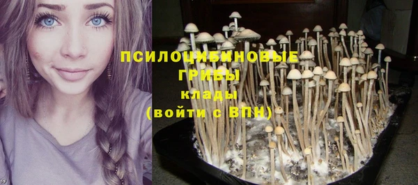 jwh Каменногорск