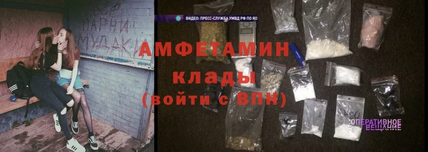 шишки Балабаново